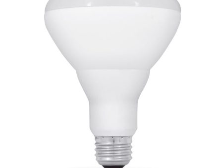 Feit BR30 E26 (Medium) LED Bulb Adjustable White 65 Watt Equivalence 6 pk Online