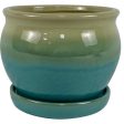 Border Concepts 7 in. H X 8.25 in. W Ceramic Archdale Planter Moss Online