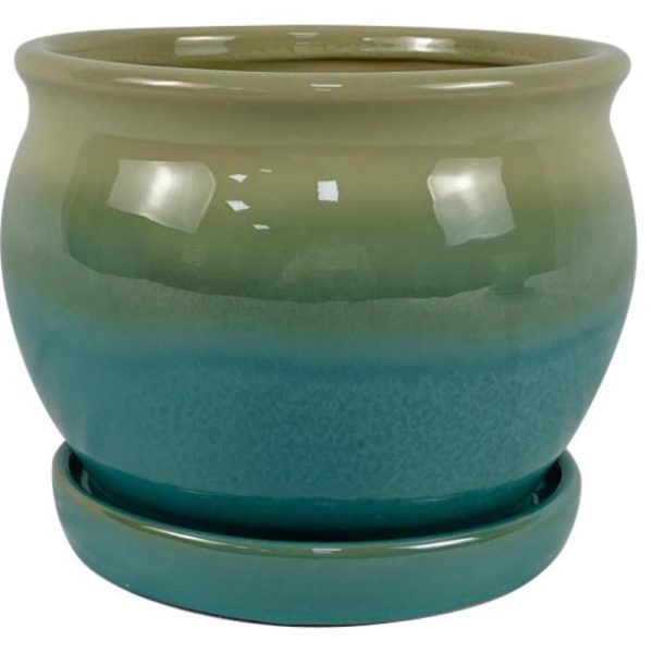 Border Concepts 7 in. H X 8.25 in. W Ceramic Archdale Planter Moss Online