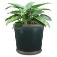 Trendspot Belleville 8.5 in. H X 9.5 in. W X 9.5 in. D Ceramic Planter Blue on Sale