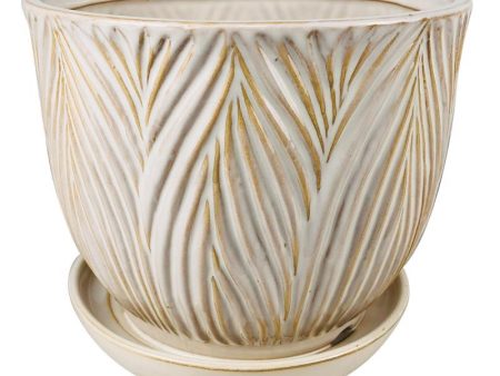 Border Concepts 6.75 in. H X 7.75 in. W Ceramic Ferncliff Planter White on Sale