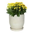 Trendspot Rivage 9.9 in. H X 9.9 in. W X 9.9 in. D X 10 in. D Ceramic Planter White on Sale