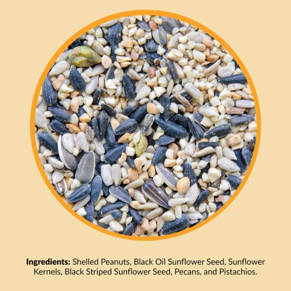 Lyric Chickadee and Nuthatch Sunflower Seeds and Peanuts Wild Bird Food 20 lb Online