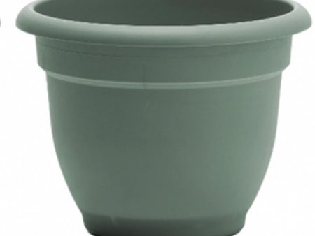 Bloem Ariana 8.5 in. H X 11 in. W X 10 in. D Plastic Traditional Planter Living Green For Cheap