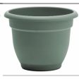 Bloem Ariana 10.25 in. H X 13 in. W X 12 in. D Plastic Traditional Planter Living Green Online Sale