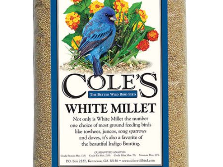 Cole s Assorted Species White Millet Wild Bird Food 20 lb For Sale