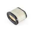 Arnold Air Filter For 697029, 498596 For Discount