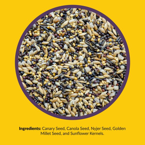 Lyric Finch Canary Grass Seed Wild Bird Food 20 lb Online now